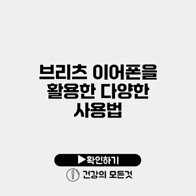 브리츠 이어폰을 활용한 다양한 사용법