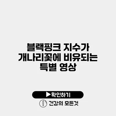 블랙핑크 지수가 개나리꽃에 비유되는 특별 영상