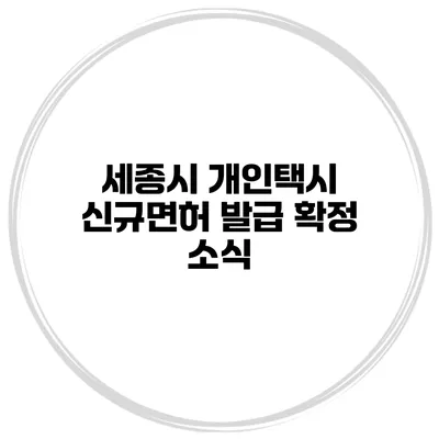 세종시 개인택시 신규면허 발급 확정 소식