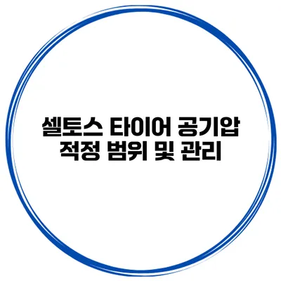 셀토스 타이어 공기압 적정 범위 및 관리