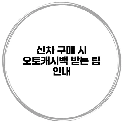 신차 구매 시 오토캐시백 받는 팁 안내