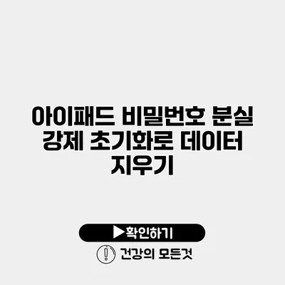 아이패드 비밀번호 분실 강제 초기화로 데이터 지우기