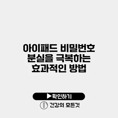 아이패드 비밀번호 분실을 극복하는 효과적인 방법