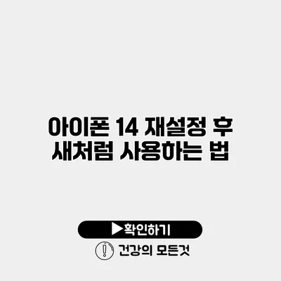 아이폰 14 재설정 후 새처럼 사용하는 법
