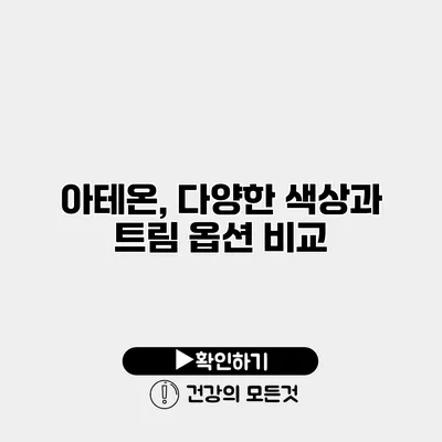 아테온, 다양한 색상과 트림 옵션 비교
