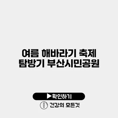 여름 해바라기 축제 탐방기 부산시민공원