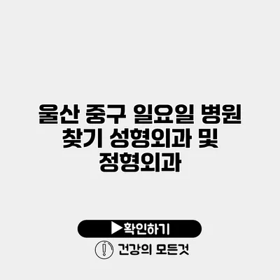 울산 중구 일요일 병원 찾기 성형외과 및 정형외과