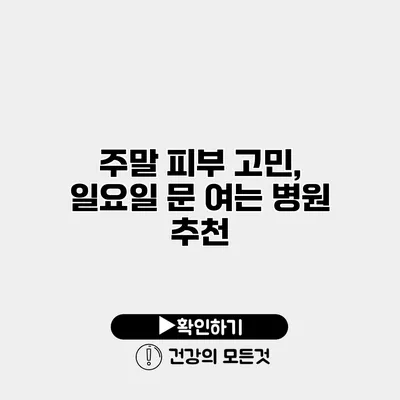 주말 피부 고민, 일요일 문 여는 병원 추천