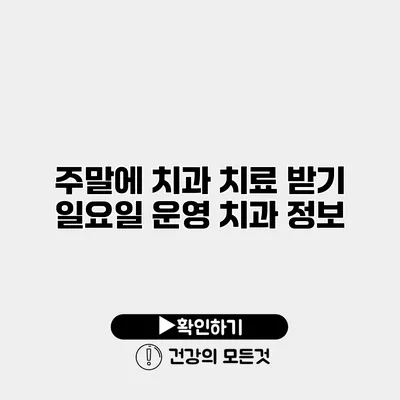 주말에 치과 치료 받기 일요일 운영 치과 정보