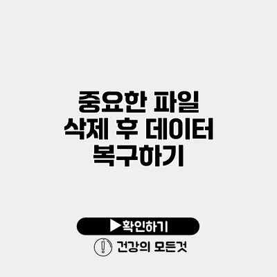 중요한 파일 삭제 후 데이터 복구하기