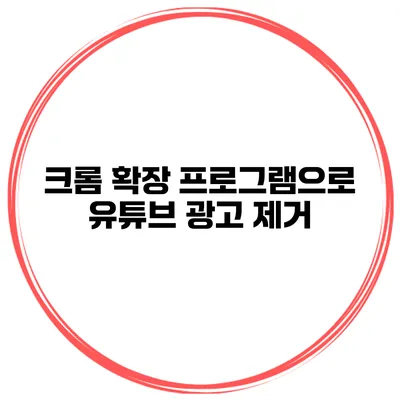 크롬 확장 프로그램으로 유튜브 광고 제거