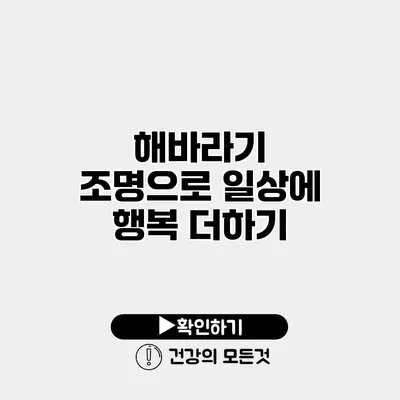 해바라기 조명으로 일상에 행복 더하기
