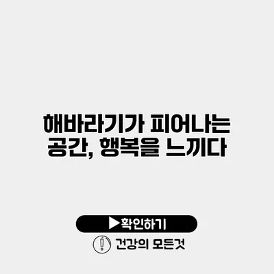 해바라기가 피어나는 공간, 행복을 느끼다