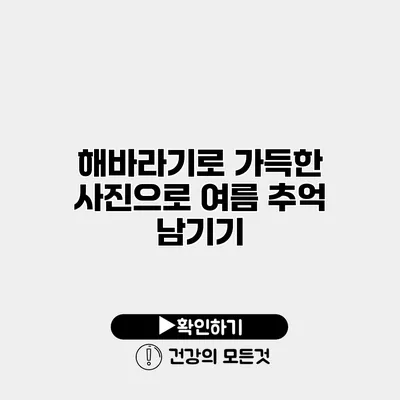 해바라기로 가득한 사진으로 여름 추억 남기기