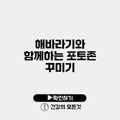 해바라기와 함께하는 포토존 꾸미기
