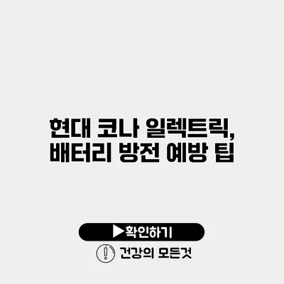 현대 코나 일렉트릭, 배터리 방전 예방 팁